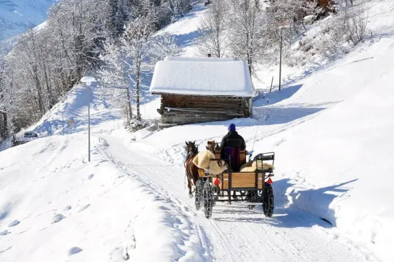 pferdeschlitten-fahrten-forstau-2 Pferdeschlittenfahrten in Forstau, Winterurlaub im Salzburger Land