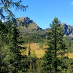 hotel-urlaub-auszeit-spielplatz-sommerurlaub-wandern-familie-forstau-forstauerwirt
