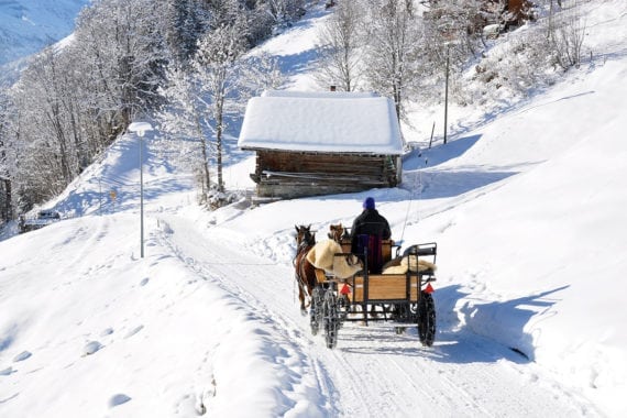 Pferdeschlittenfahrten in Forstau, Winterurlaub im Salzburger Land