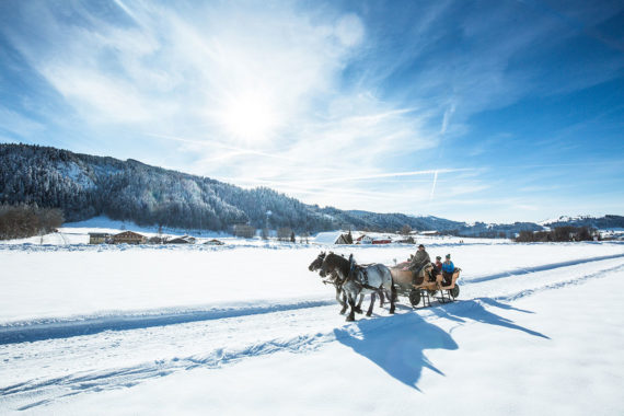 Pferdeschlittenfahrten in Forstau, Winterurlaub im Salzburger Land