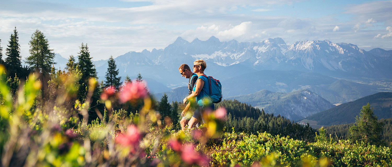 Wandern - Sommerurlaub in Forstau, Salzburg